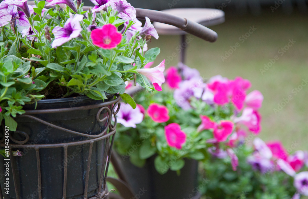Obraz premium Flowers at country-style wedding in backwoods of Florida.