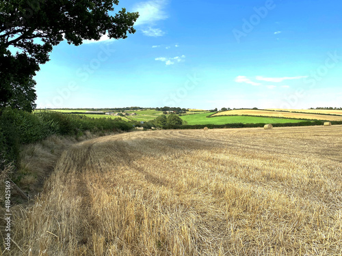 Landscape, with a cornfield, trees, and fields in the distance, late afternoon in, Harewood, Leeds, UK photo