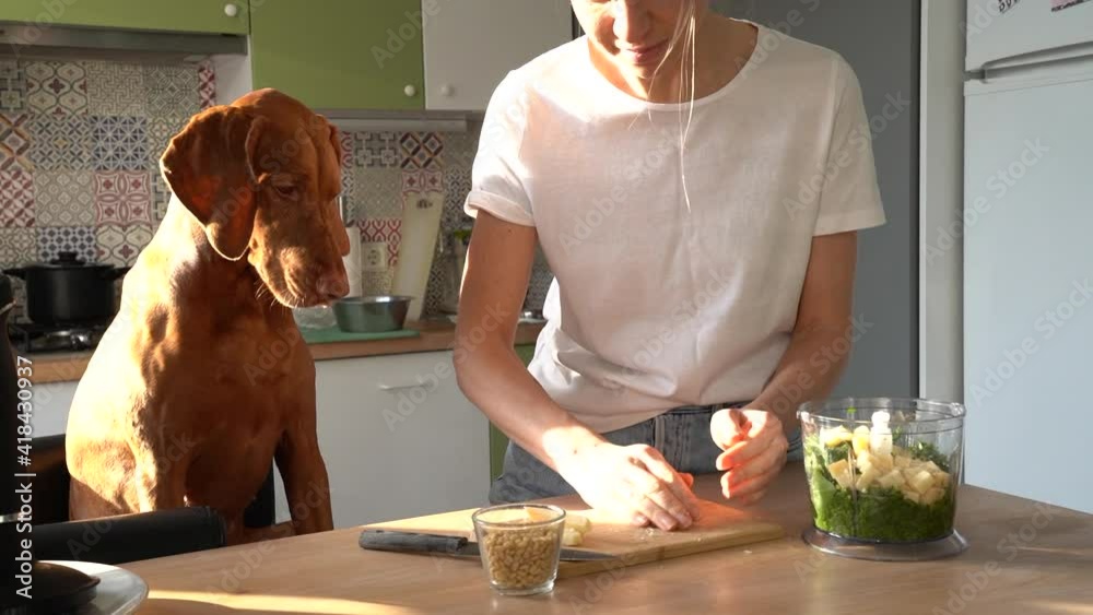 Woman cuts parmesan cheese with knife on board to make pesto sauce, cook in kitchen at home, lovely Vizsla dog watching and begging food. Love pets concept. 