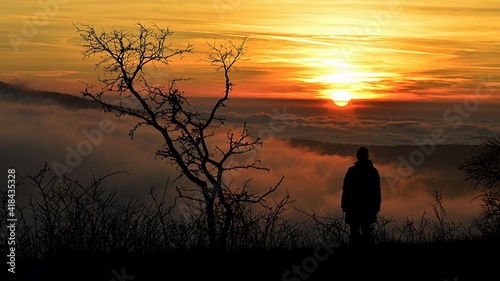 Winter evening sunshine above uplands of western Slovakia with dense fog under the hilltops. Silhouette of single person and naked broadleaf tree is present. 