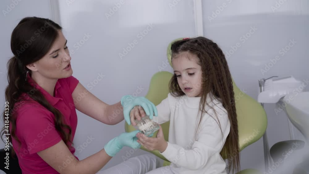 Female dentist counseling courteous girl the careful oral care using jaw layout Female dentist counseling courteous girl the careful oral care using jaw layout