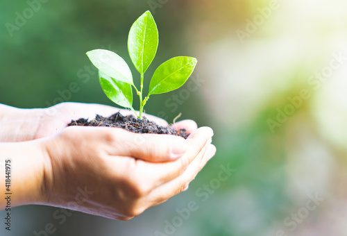 Hand holding plant for green environment