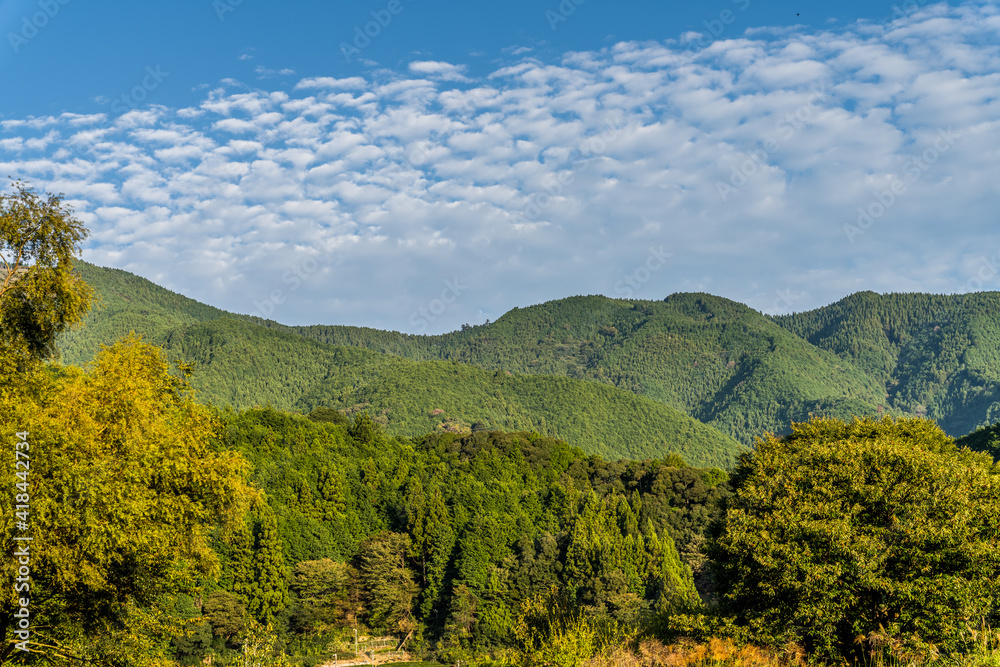 緑の山並みと鱗雲　静岡県島田市川根町