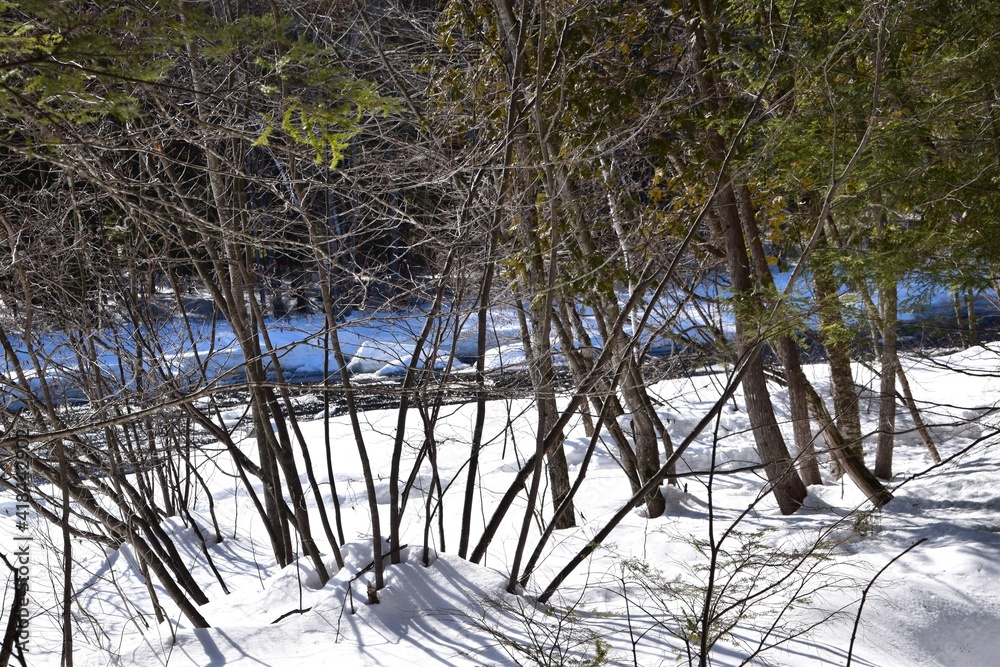 Fototapeta premium Darwin waterfalls in southern Quebec