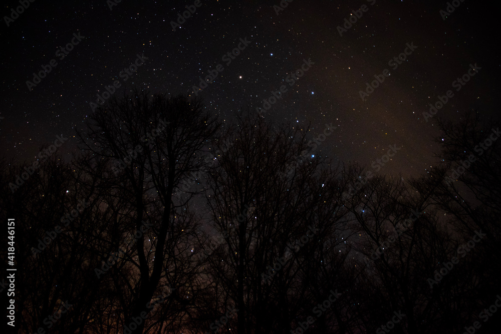 Night sky silhouette stars color