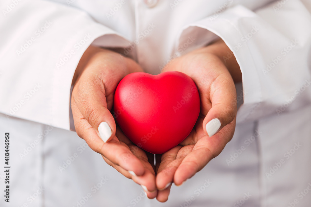A female doctor wearing a lab coat while holding a red heart in her hands A female doctor wearing a lab coat while holding a red heart in her hands