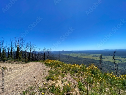 Post-Bushfire Landcape