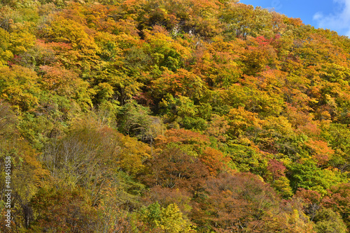 紅葉の山