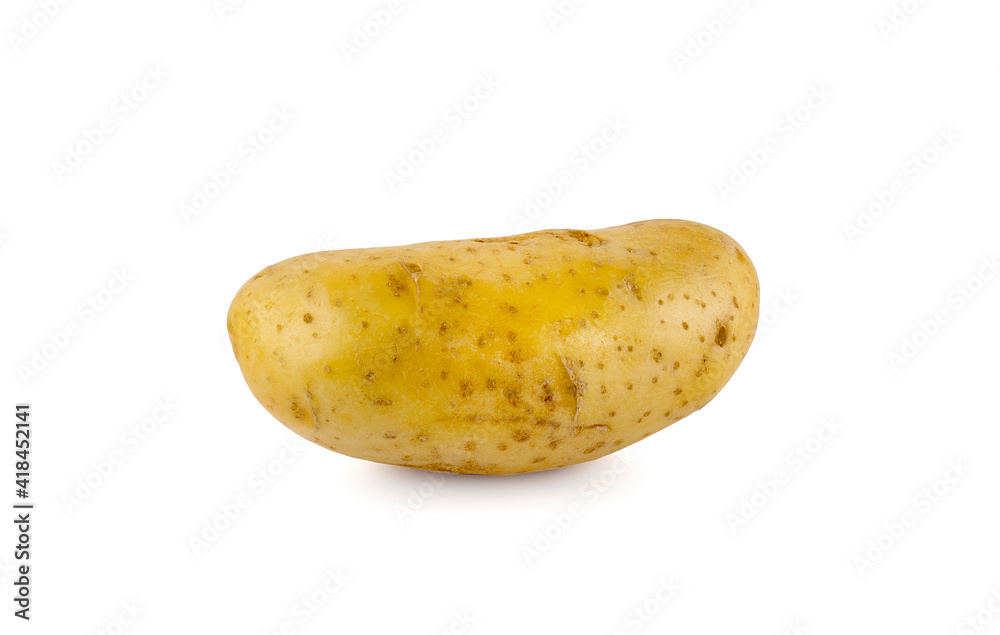 Potato vegetable isolated on white background Potato vegetable isolated on white background