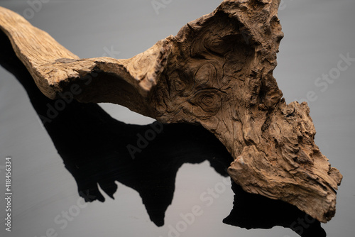 Natural drift wood with beautiful shape and textures for gardening layout or aquatic plants tank layout