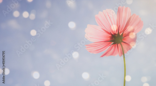 Beautiful pink flower shape on bokeh background