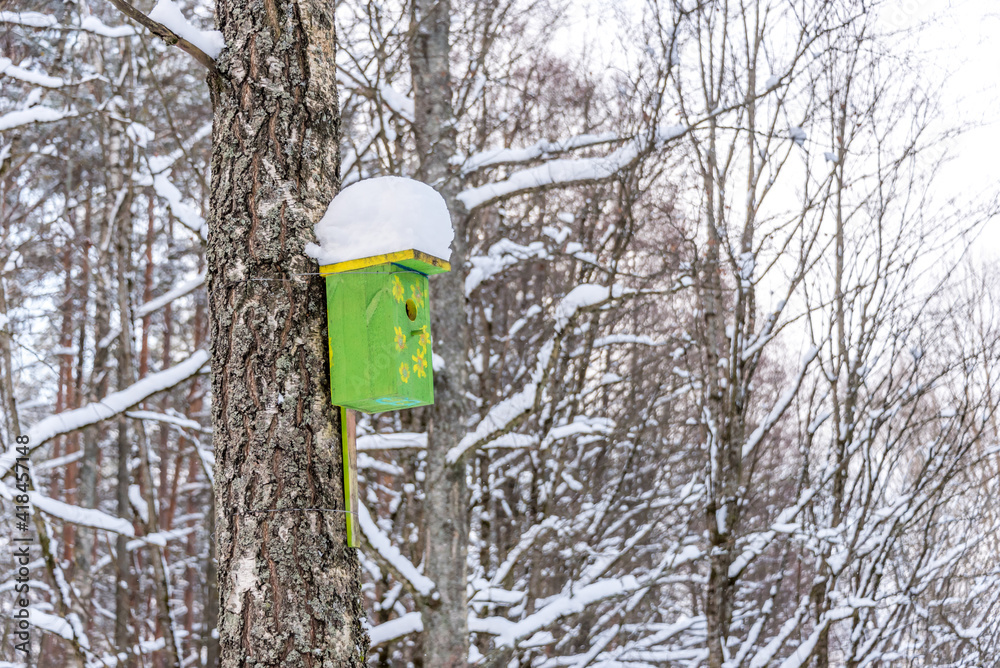 Snow Covered Forest in Winter in Latvia Bird House