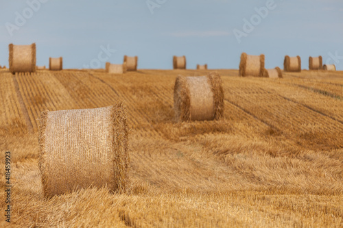 Fototapeta Naklejka Na Ścianę i Meble -  View of the Masurian fields.