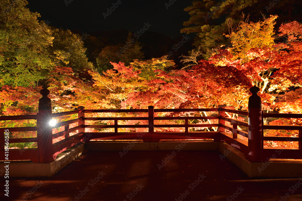 紅葉の夜にかかる橋