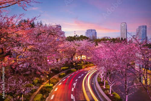 Tableau sur toile night view of tokyo midtown in roppongi,  japan