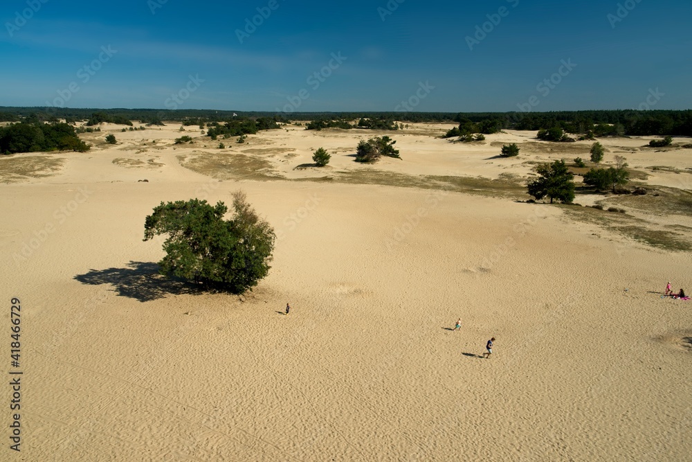 Kootwijk Netherlands - 18 September 2020 -Kootwijkerzand sand dunes on the Veluwe in the Netherlands Kootwijk Netherlands - 18 September 2020 -Kootwijkerzand sand dunes on the Veluwe in the Netherlands