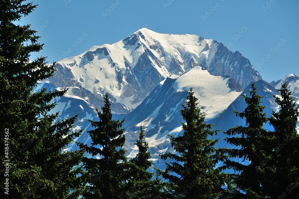 Vue du massif du Mont Blanc à travers les arbres depuis le col des Saisies, Savoie, France