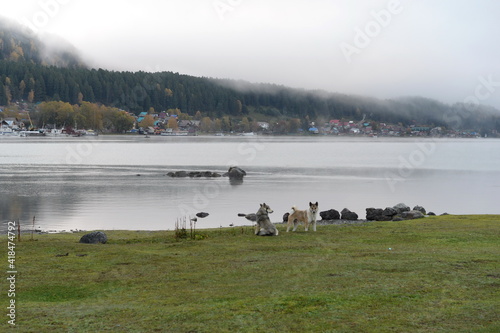 Morning on Lake Teletskoye. Altai Republic photo