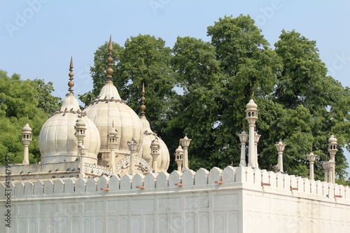 mosque in redfort