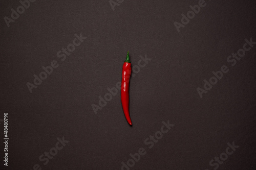 One red chili pepper on a matte black background. Minimalism photo. The pepper in the center on the photo. Dark gray surface