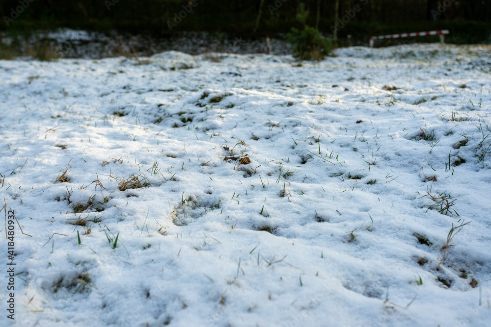 Wenig Schnnee auf einer Wiese am Waldrand