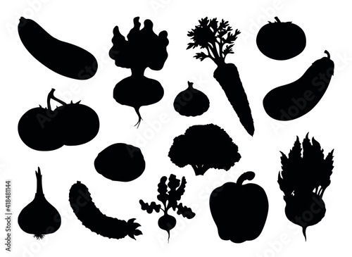 Vegetables set. Vector drawing food object