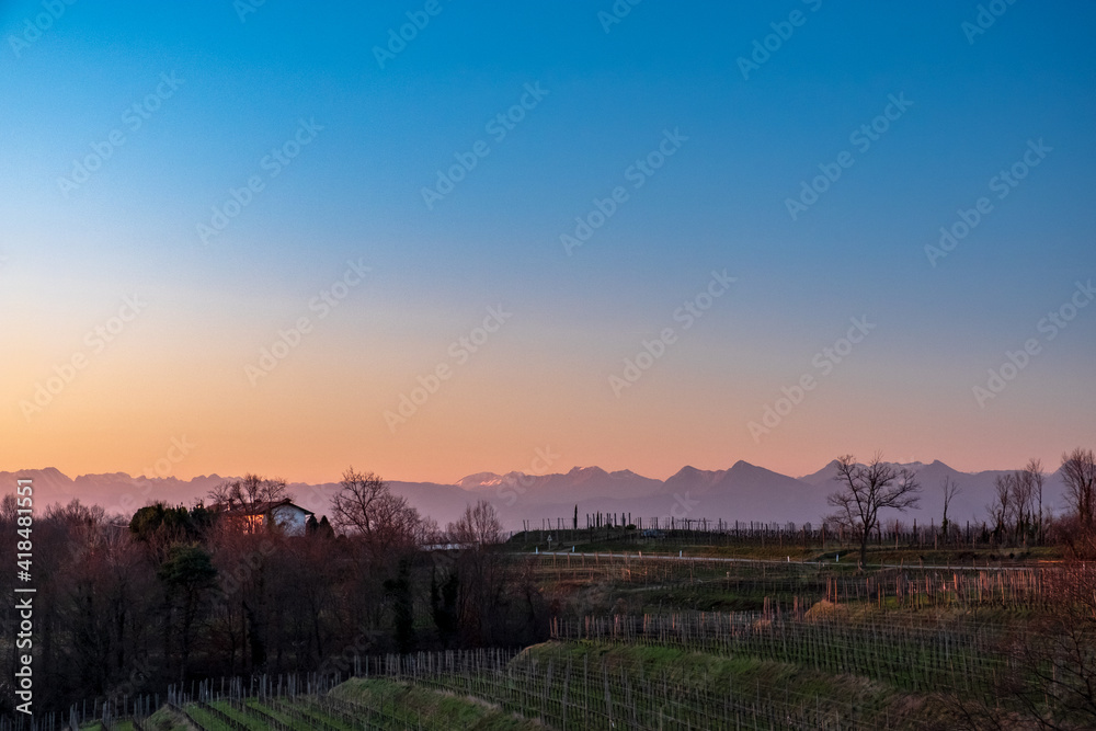 Obraz premium Winter sunset in the vineyards of Collio Friulano