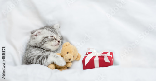 Tiny tabby kitten sleeps under white blanket with gift box and hugs toy bear. Top down view. Empty space for text