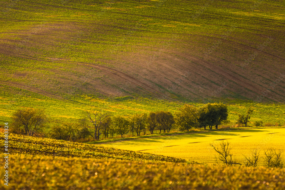 Autumn landscapes in South Moravia, Bohemia. The undulating fields shimmer with shades of green, brown and yellow.