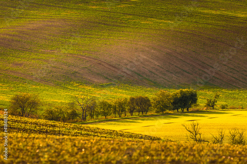 Autumn landscapes in South Moravia  Bohemia. The undulating fields shimmer with shades of green  brown and yellow.