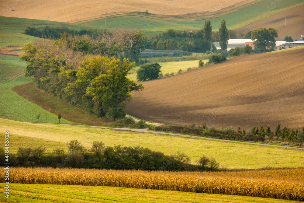 Autumn landscapes in South Moravia, Bohemia. The undulating fields shimmer with shades of green, brown and yellow.