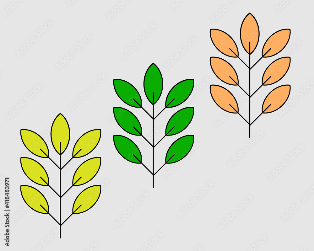 vector set of leaves. flora. color. nature. leaf