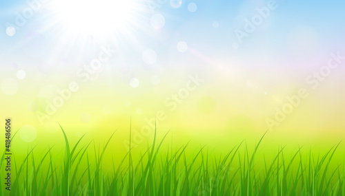 Sunny natural background, summer sun with green grass and blurry bokeh as fresh green spring background, nature vector illustration.