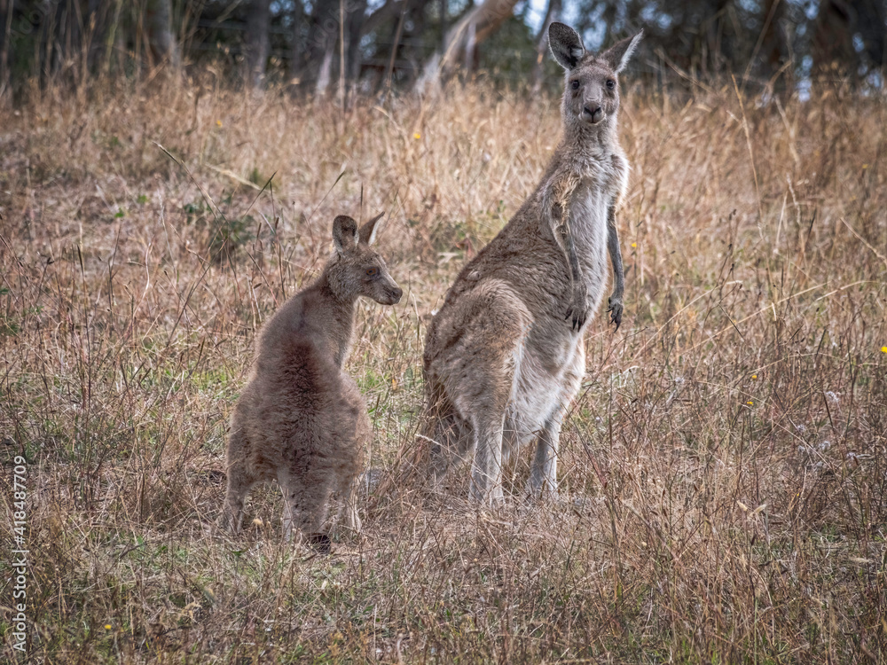 Mother And Child