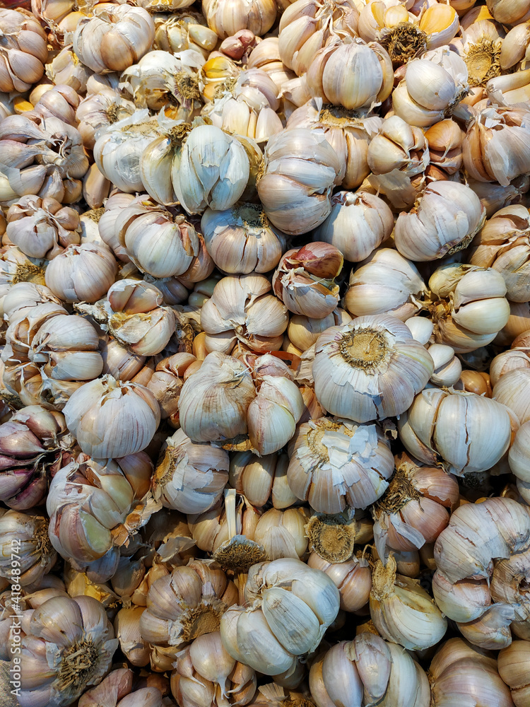 ingredient that usually on indonesian kitchen ingredient that usually on indonesian kitchen