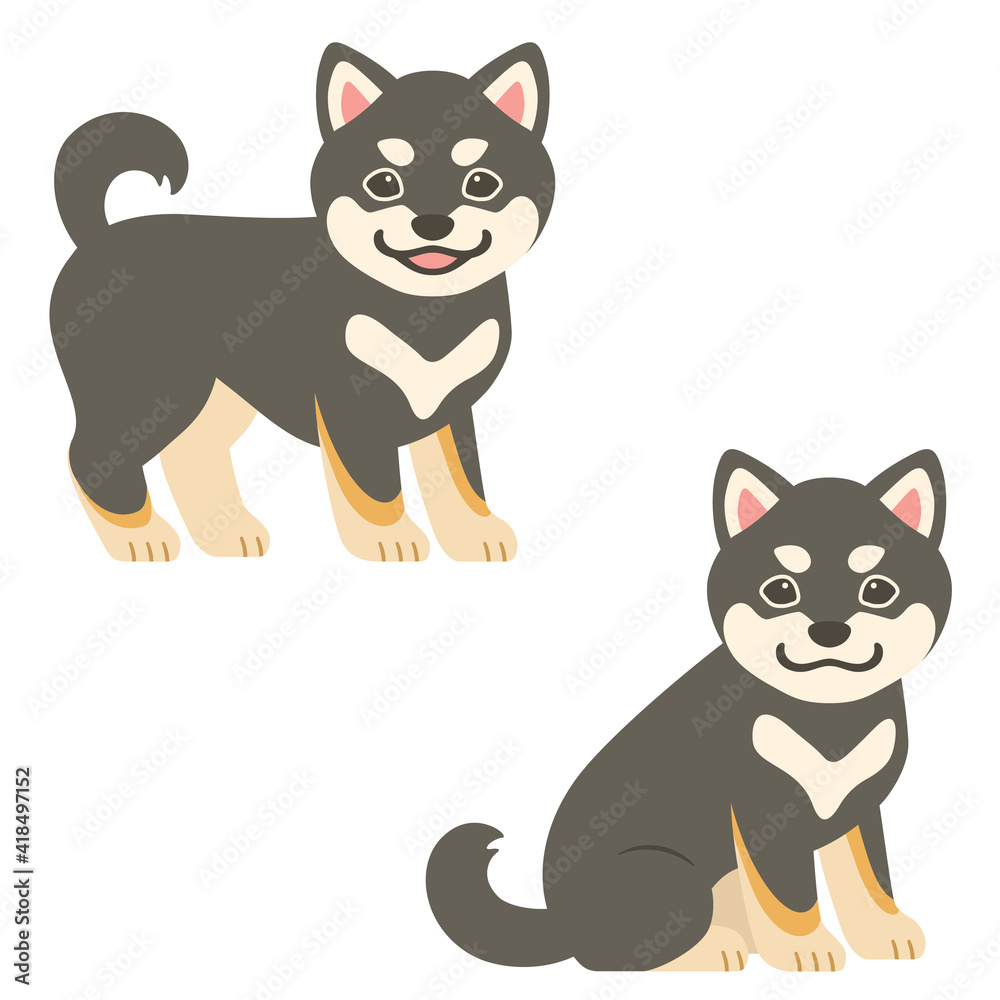 Obraz premium 黒い柴犬の仔犬