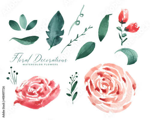 rose watercolor flower decoration elements collection