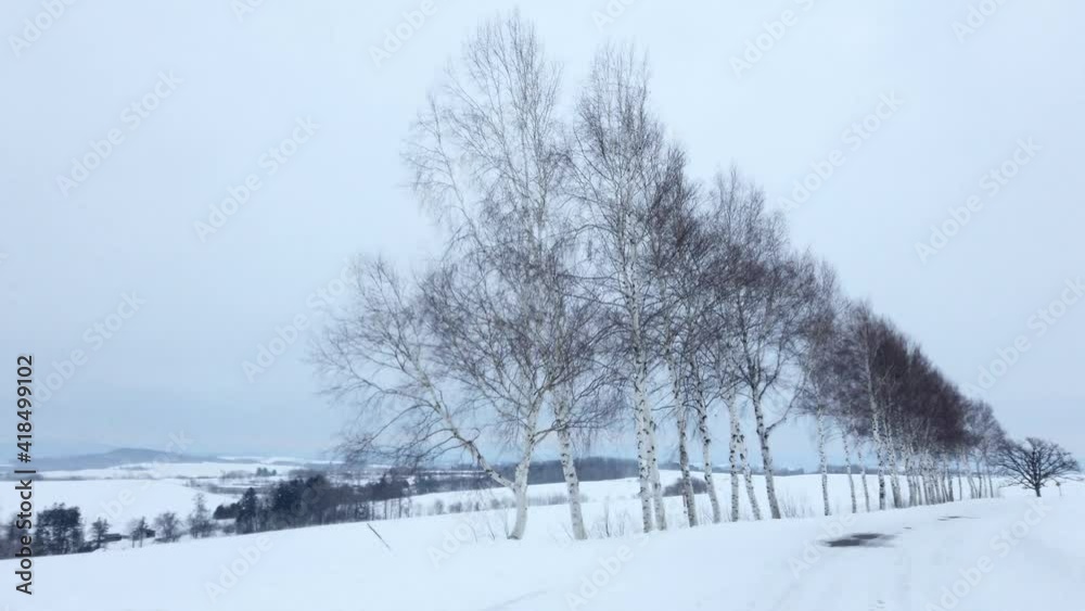 北海道 冬の美瑛 北海道 冬の美瑛