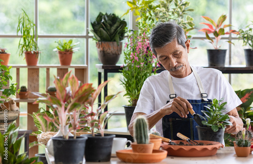 A senior Asian man working in a planting hobby room with happiness and concentrait. Idea for green lover who plants tree and botany in corner of the home.
