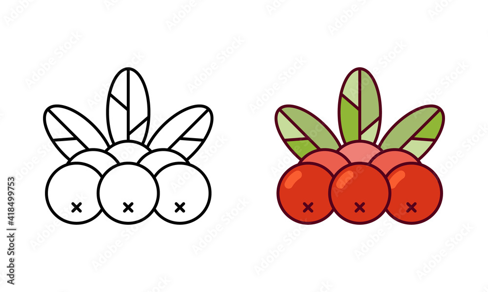 Rowan logo. Linear icon and color version. Black simple illustration of rowanberry, plant. Contour isolated vector pictogram on white background Rowan logo. Linear icon and color version. Black simple illustration of rowanberry, plant. Contour isolated vector pictogram on white background