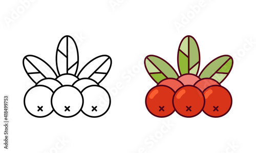 Rowan logo. Linear icon and color version. Black simple illustration of rowanberry, plant. Contour isolated vector pictogram on white background