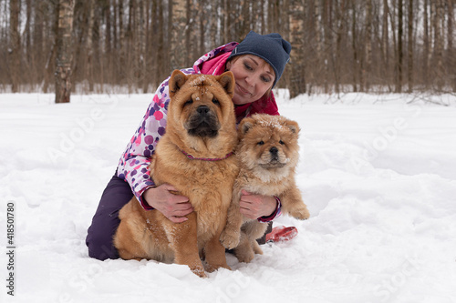 A Woman in winter with two dogs chow chow in nature