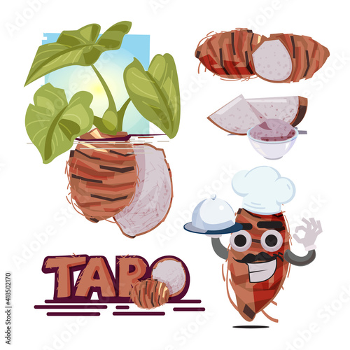 Taro Root Vector. Taro plant. fruit and slice of taro. typographic - vector