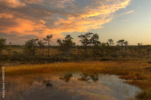 Фотография Traditional bog landscape in Estonia. Hupassaare nature trail.