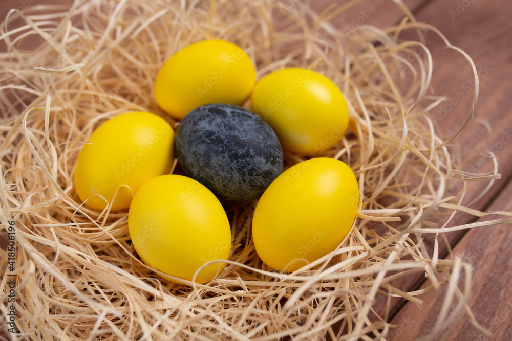 Yellow eggs and one blue marble egg in a nest isolated on wooden background. Happy Easter. Trendy colour 2021. Yellow eggs and one blue marble egg in a nest isolated on wooden background. Happy Easter. Trendy colour 2021.