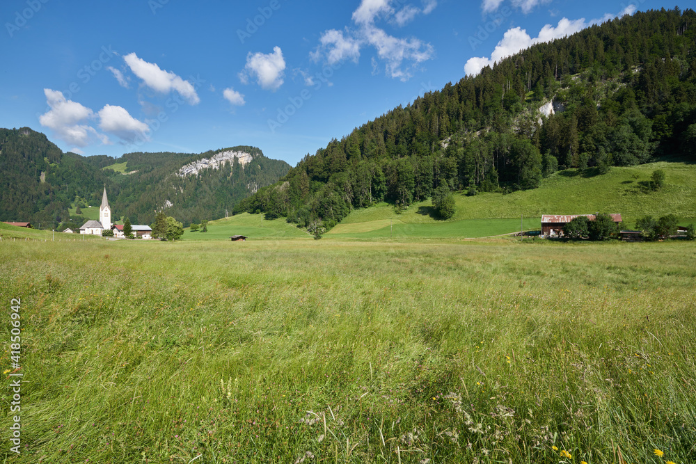 Blick über die grünen Almwiesen im Tiefenbacher Ortsteil Wasach