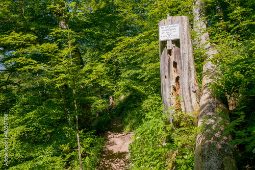Information sign aside a hiking trail deep within the Bavarian forest warns hikers not to leave the trail in three different languages © schusterbauer.com