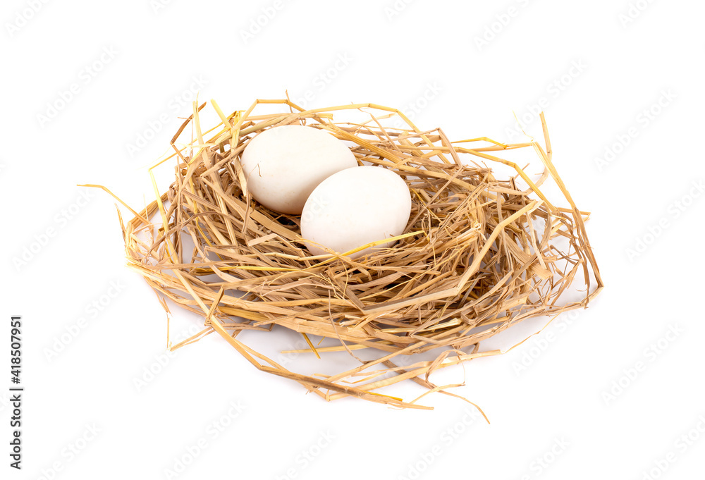 Two duck egg in nest on white background Two duck egg in nest on white background