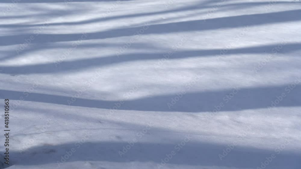 Beautiful winter snowy scenic landscape. Video timelapse of blue shadows of trees falling down on ground covered with white snow. Shadows slide along caused by motion of sunlight on winter sunny day Beautiful winter snowy scenic landscape. Video timelapse of blue shadows of trees falling down on ground covered with white snow. Shadows slide along caused by motion of sunlight on winter sunny day