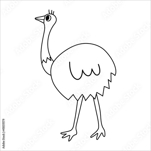 Vector black and white ostrich icon isolated on white background. Cute African bird line illustration for kids.